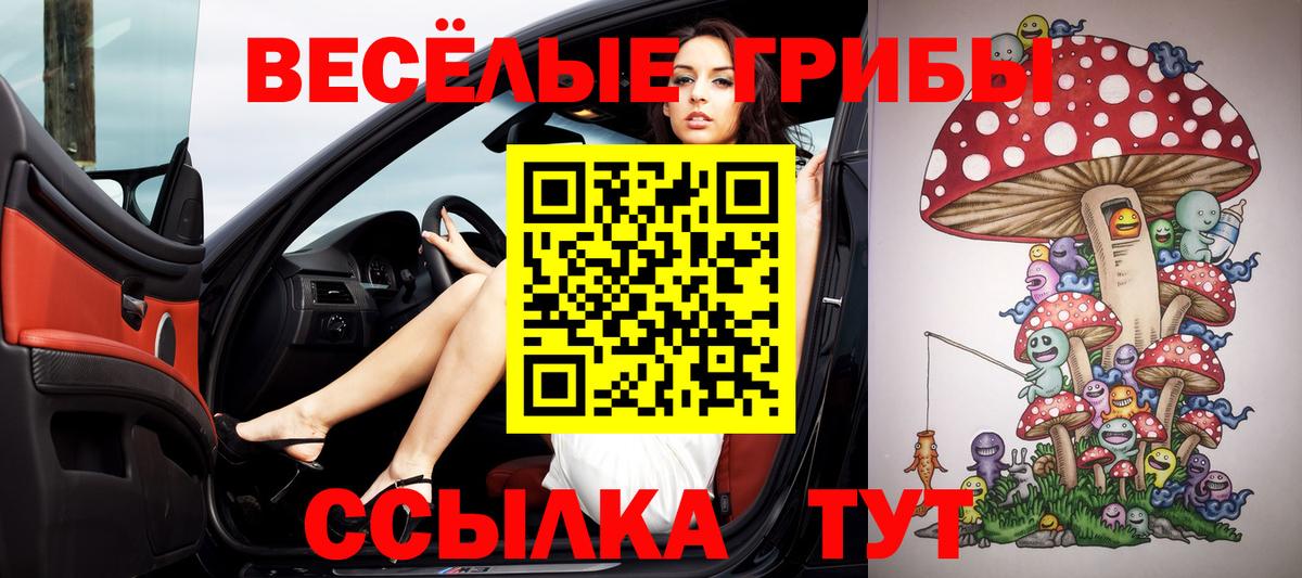 Казань  Галлюциногенные грибы MAGIC MUSHROOMS  Вход с VPN  как найти   Галлюциногенные грибы мицелий 